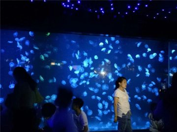 2018 akrila medūzas akvārija tvertnes stikls