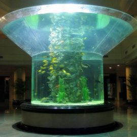pmma stikla akvārijs puscilindrs perspex skaidrs zivju tvertne