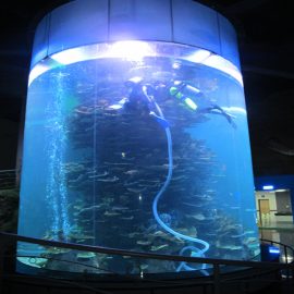 skaidra akrila cilindra liela zivju tvertne akvārijiem vai okeāna parku