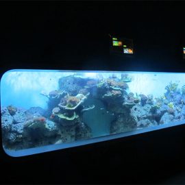 Mākslīgais akrila cilindrisks caurspīdīgs zivju akvārijs / skats