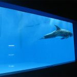 augstas kvalitātes liels akrila akvāriju / baseinu logu zemūdens biezs loga loksne