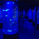 akrila medūzas akvārija tvertnes stikls