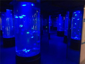 akrila medūzas akvārija tvertnes stikls